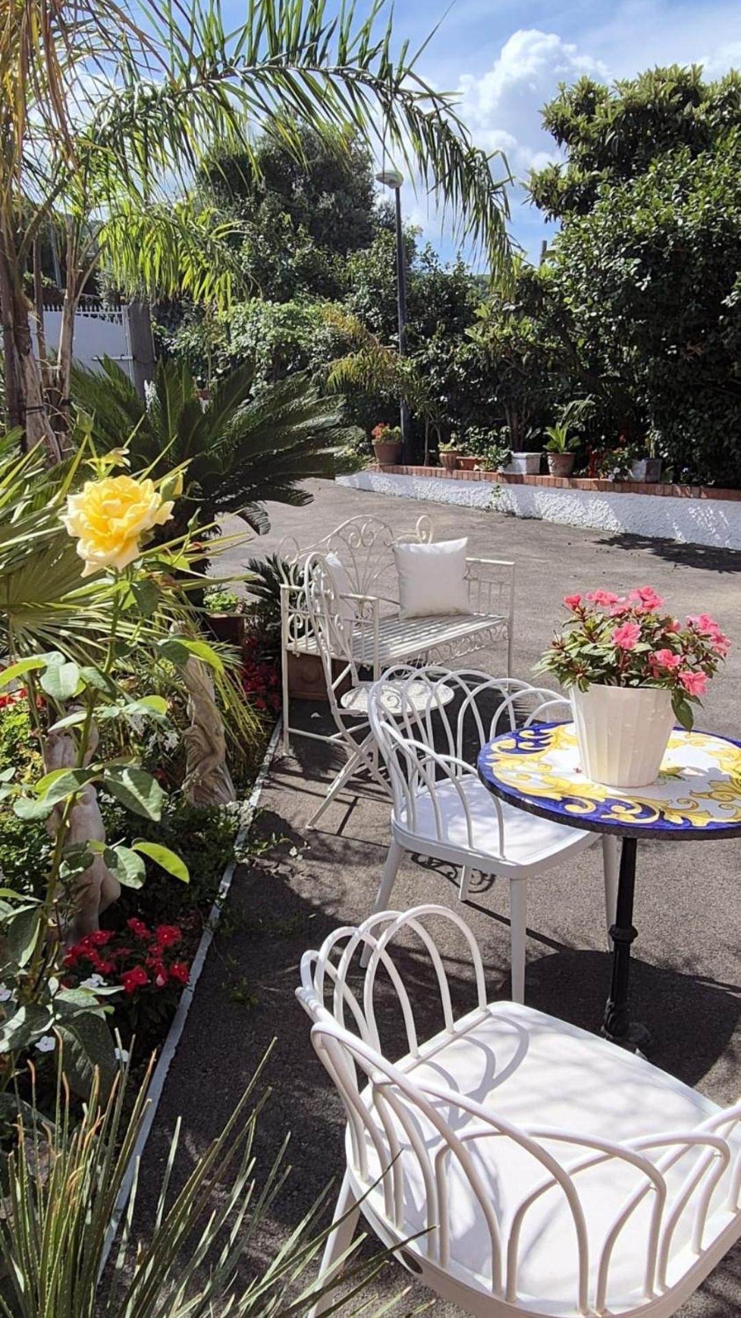 Bed and Breakfast La Vigna Del Vento à Casola di Napoli Extérieur photo